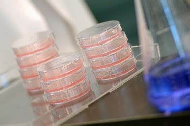 How To Design Cell-based Potency Assays