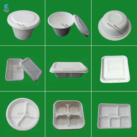 Biodegradable sugarcane bagasse pulp food packaging box