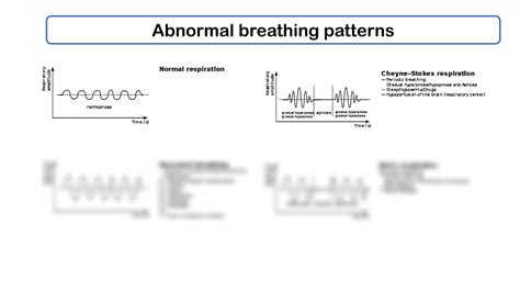 SOLUTION: Abnormal breathing patterns pft artificial ventilation - Studypool