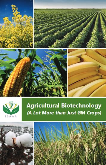 International Service for the Acquisition of Agri-biotech Applications ...