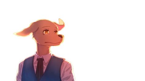 Jack (Beastars) (960x540 143 kB.) | Anime, Anime images, Jack