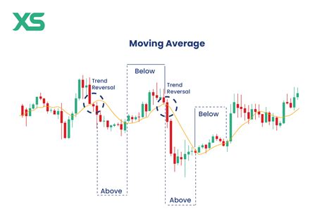 11 Best Forex Indicators All Traders Should Know in 2024 - XS