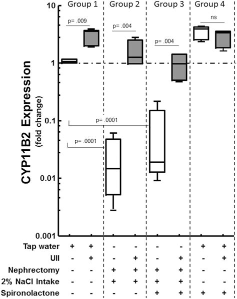 UII infusion markedly increased Cyp11b2 gene expression in the zona... | Download Scientific Diagram