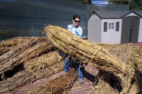 Kumeyaay students, teachers will host traditional tule boat launch at Coronado Saturday - The ...