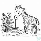 47 Girafas Para Colorir  Páginas Imprimir Grátis sketch template