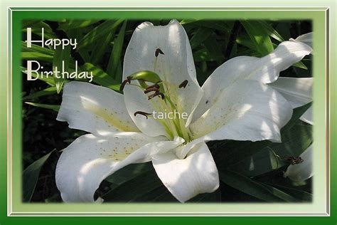 "Happy Birthday Greeting Card With A White Lily " by taiche | Redbubble