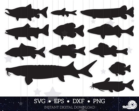 River Lake Fish Shapes Vector Clipart Set INSTANT DIGITAL - Etsy | Fish silhouette, Silhouette ...