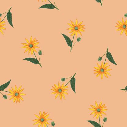 Topinambur Flower Seamless Pattern Floral Digital Paper Stock Illustration - Download Image Now ...