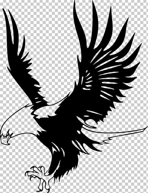 Bald Eagle Just Eagles Black-and-white Hawk-eagle PNG - Free Download ...