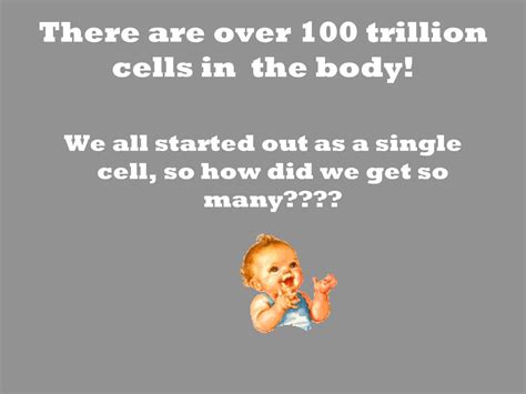 Standard S7L2 a. Students will explain that cells take in nutrients in ...