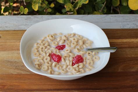 Cereal Bowl – Cheerios with Strawberries | Just Dough It!