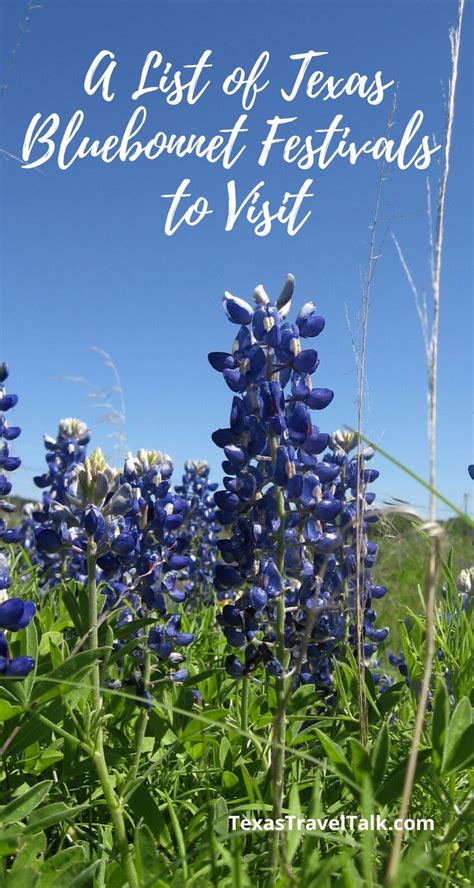 Bluebonnet Festivals in Texas to Visit With Family (Updated 2024) | Texas Travel Talk