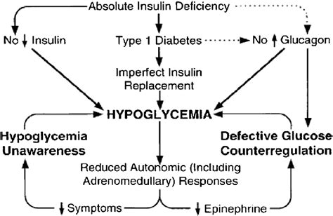 Hypoglycemia-associated autonomic failure in diabetes [3]. | Download Scientific Diagram