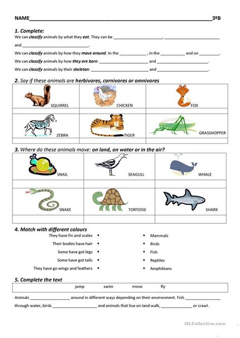 Science Worksheets Printable | Common Core Worksheets