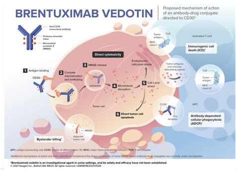 Brentuximab vedotin | Pfizer Oncology Development Website