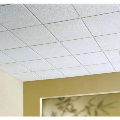 USG Ceilings 2 ft. x 2 ft. Alpine White Square Edge Lay-In Ceiling Tile, carton of 16 (64 sq. ft ...