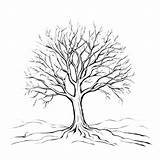 Download Black And White Tree Drawing Coloring Pages Online  Creative sketch template