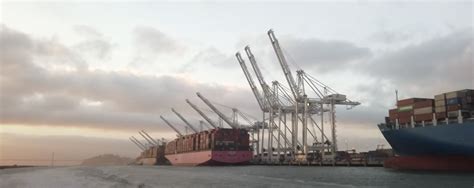 North America’s tallest cranes rise at the Port of Oakland - Port of Oakland