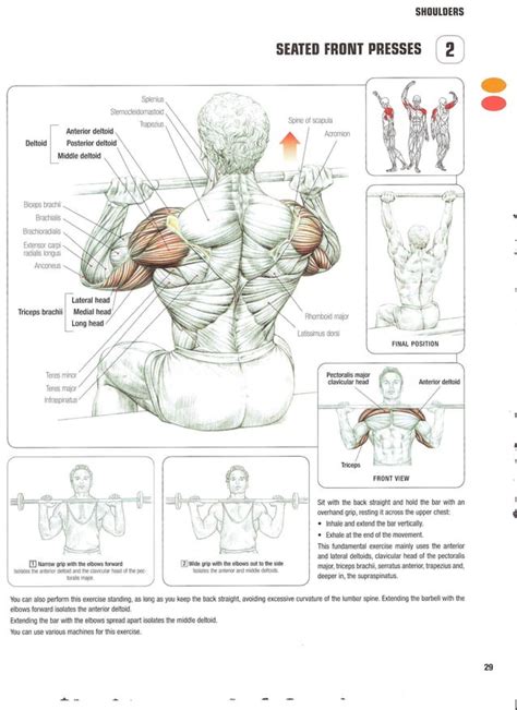 Strength Training Anatomy 2nd Edition