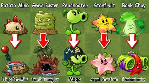 PvZ 2 Discovery - Every All Plants Evolution NOOB - PRO (China & International version) - YouTube