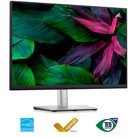 Dell P2423 - LED monitor - 24"