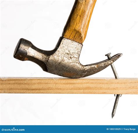 A Claw Hammer Removing a Nail Stock Image - Image of hammer, attach: 100310529