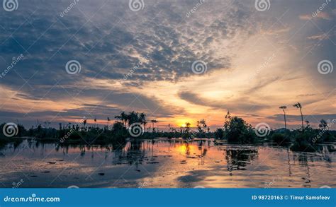 Sunset Over the Cypress Trees and the Swamp Stock Image - Image of light, landscape: 98720163