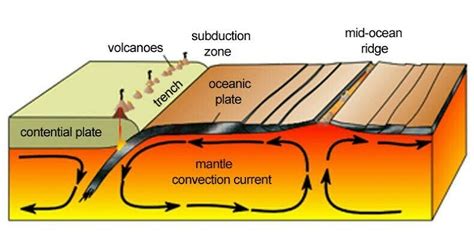 The diagram shows the layers of earth convection currents in which region influence the movement ...