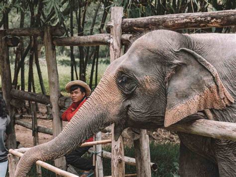 A Day at an Elephant Sanctuary | Story | Hero Traveler