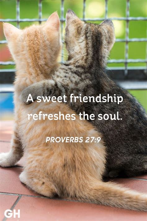 25 Short Friendship Quotes to Share With Your Best Friend - Cute ...