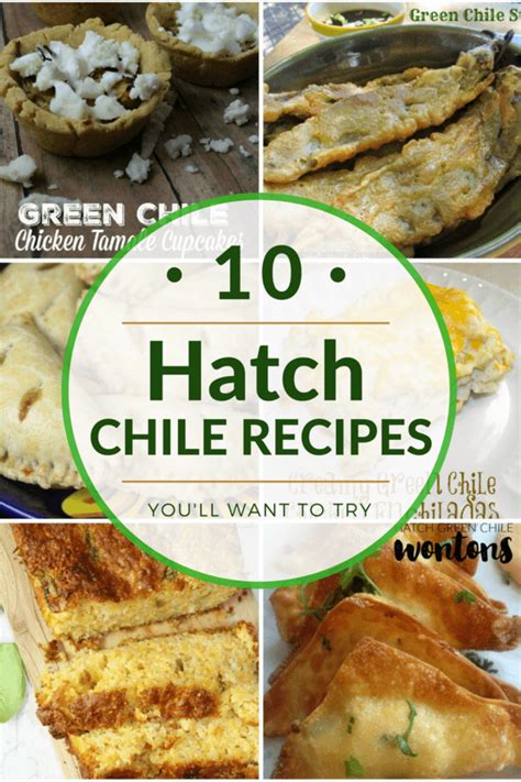 10+ Hatch Green Chile Recipes | The CentsAble Shoppin