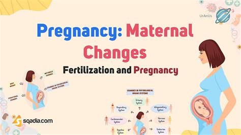 Fertilization and Pregnancy