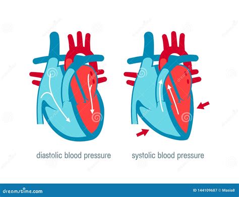 Blood Pressure Concept in Flat Style, Vector Stock Vector ...