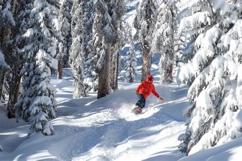 Storm Brings 14 Inches to Wolf Creek Ski Area – Pagosa Daily Post News Events & Video for Pagosa ...