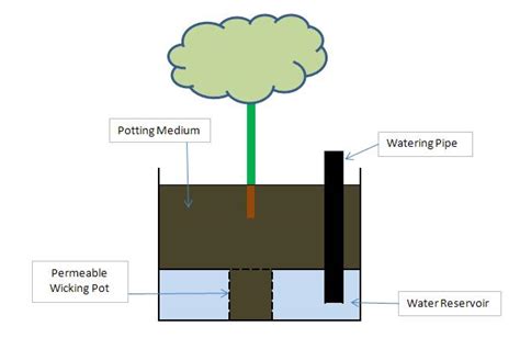 Self Watering Planters - The Chilli King