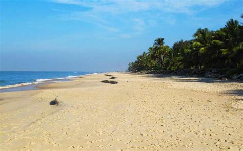 Alappuzha Beach / Kerala / India // World Beach Guide