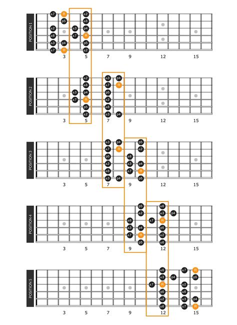 Major Scale Patterns, Positions and Theory