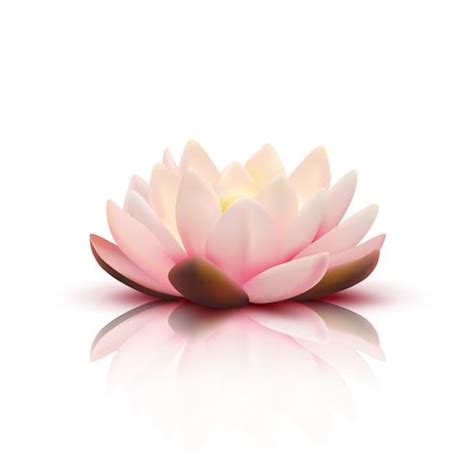 3D Flower Of Lotus 482523 Vector Art at Vecteezy