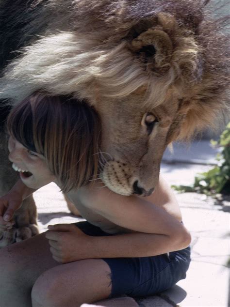 Pet Lions: Tippi Hedren's Strange Attempt To Bring The African Safari ...