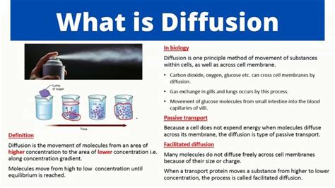 What is Diffusion | Simple Diffusion | Facilitated Diffusion | Biology ...