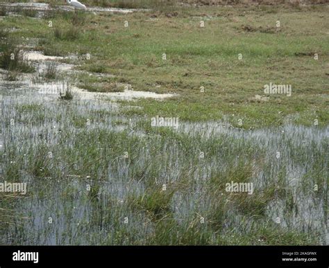 Beautiful landscape photography in Sri Lanka. Visit Sri Lanka Stock Photo - Alamy