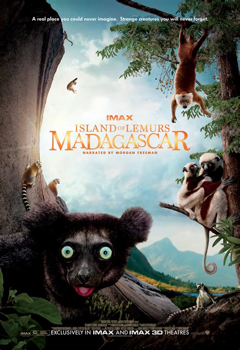 Madagascar Movie Lemur