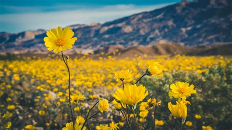 Death Valley National Park — She Explores: Women in the outdoors.