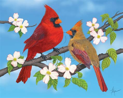 Cardinal Art Print -- Illustration of Red Cardinals on blue | Bird art print, Art prints ...