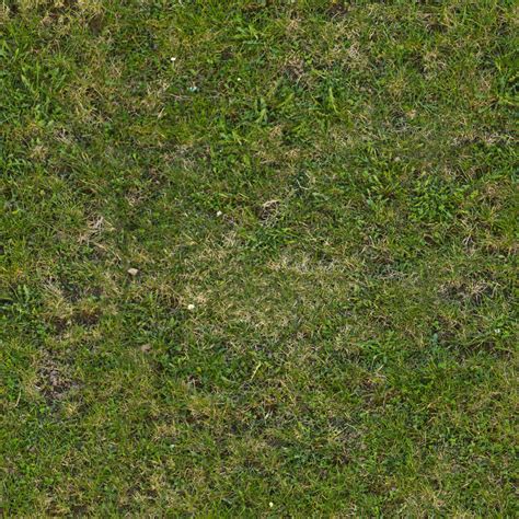 Seamless tileable grass texture by demolitiondan on DeviantArt