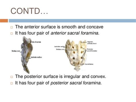 Caudal anesthesia