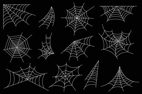 Spiderweb Vector Art, Icons, and Graphics for Free Download