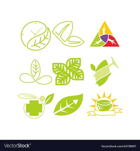 Leaf logo design template set Royalty Free Vector Image