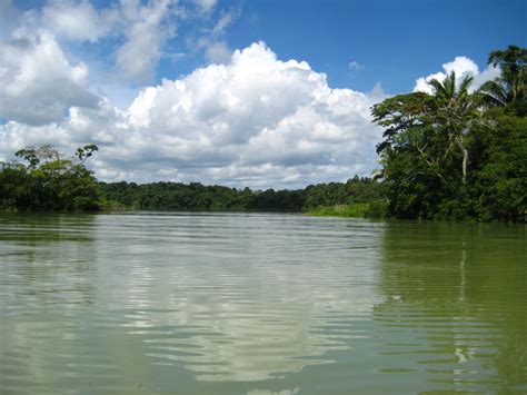 Gatun Lake - Panama Canal | Gatun lake, Panama canal, Carribean islands