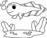 Tadpole Coloring Pages sketch template